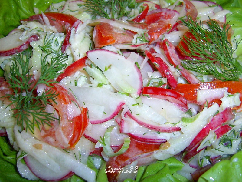 Salata colorata