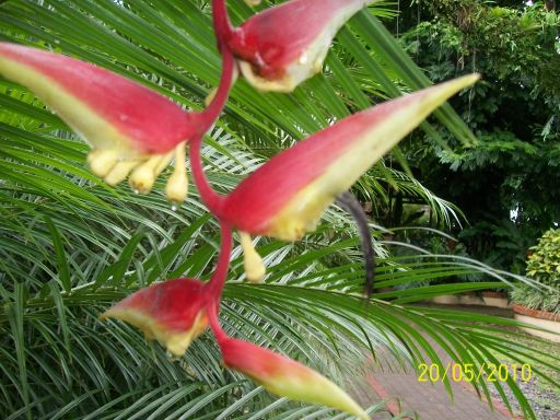 Calatorie in Costa Rica