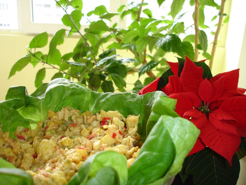 Salata racoritoare