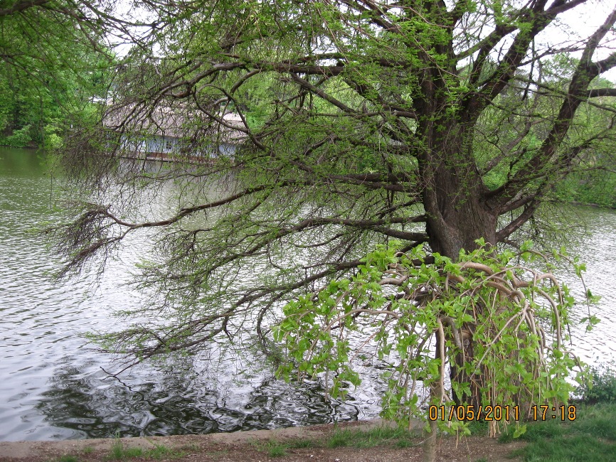 Parcul Herastrau