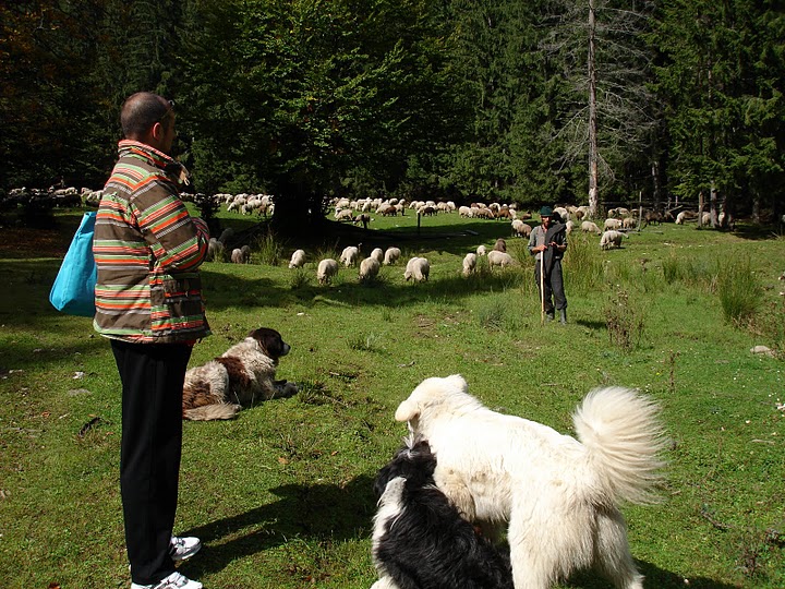 Sat Magura, o zona virgina