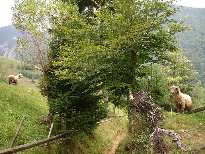 Sat Magura, o zona virgina