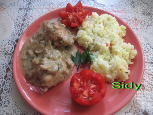 Pui Stroganoff