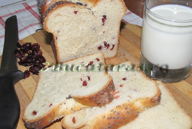 Cranberries Bread