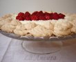 Pavlova-5