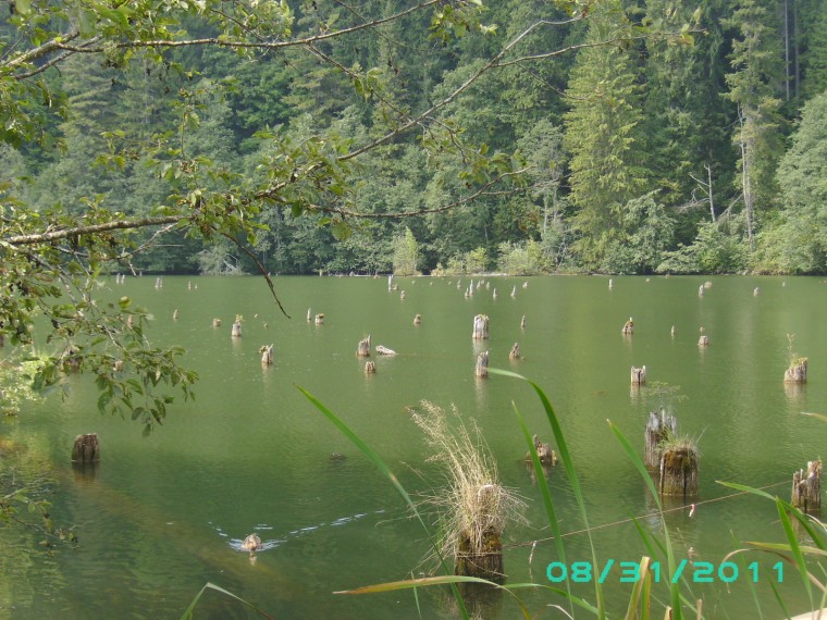 Vacanţă în adidaşi (3)- Lacul Roşu si Cheile Bicazului