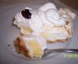 Pavlova cu crema de vanilie si frisca-5