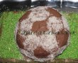 Tort Minge de Fotbal-0