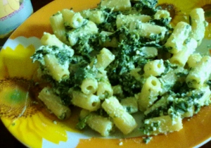 Maccheroni cu ricotta