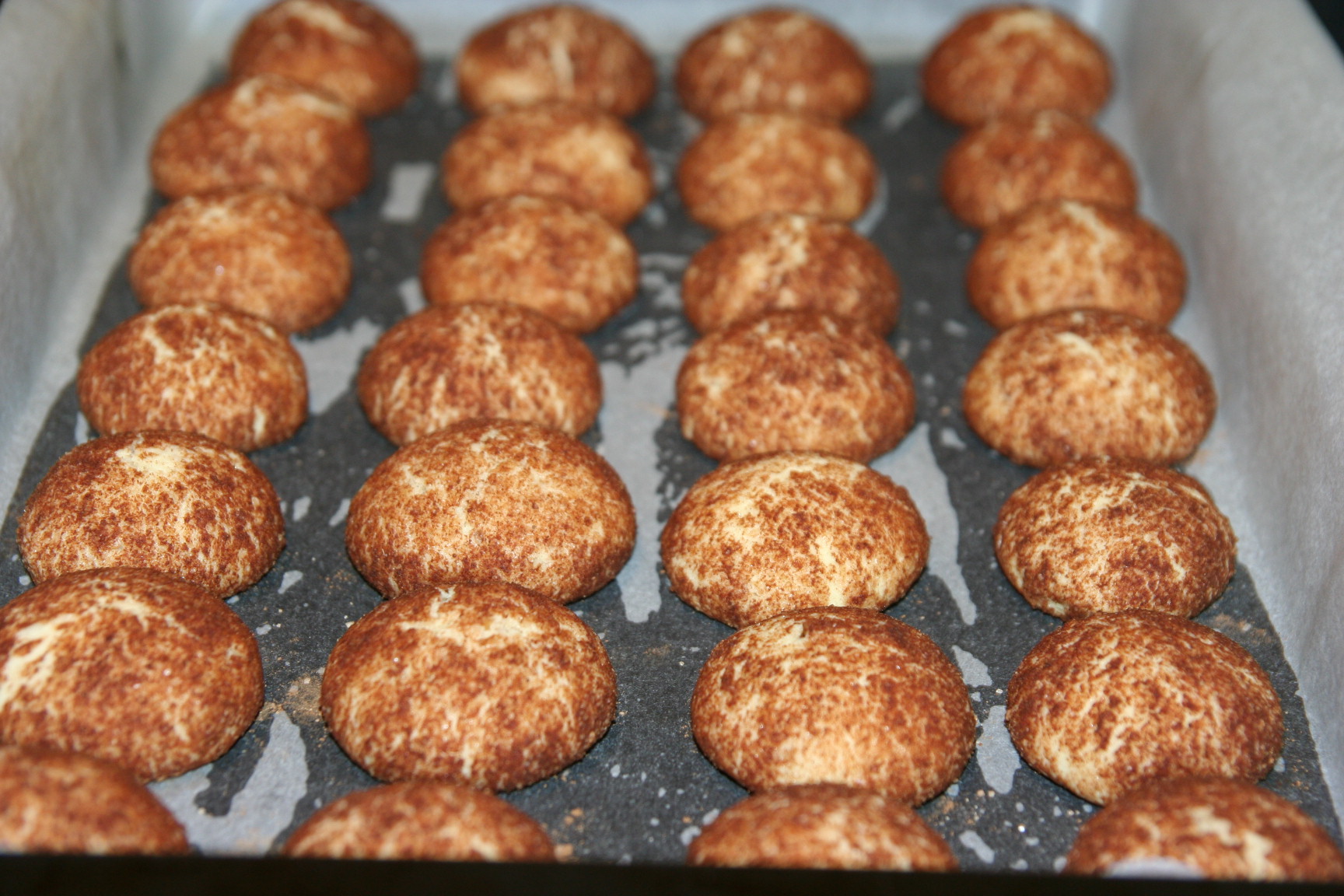 Snickerdoodles