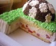 Tort teren de fotbal-6