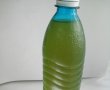 Lichior de menta-2