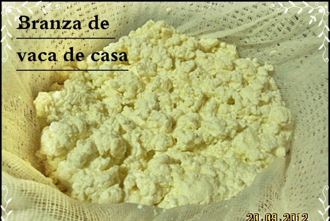 Branza de vaci   -moduri diferite de a face branzica de casa