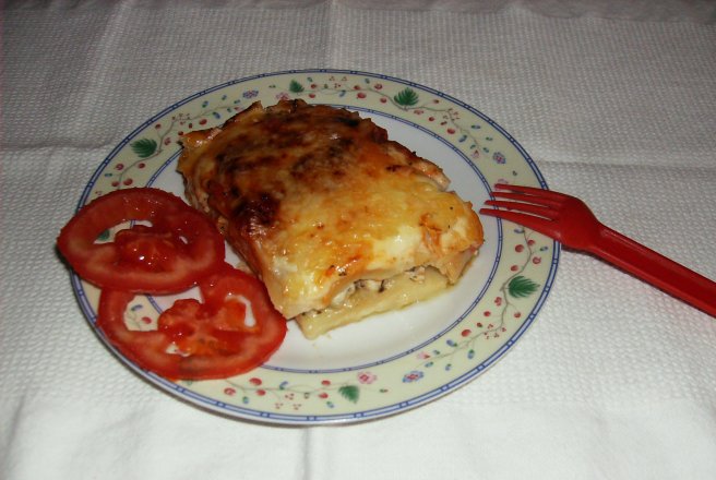 Cannelloni cu carne de pui