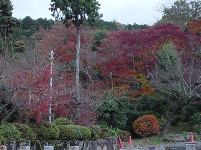 O zi de toamna in Kyoto