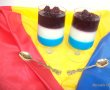 Panna cotta Tricolor-4