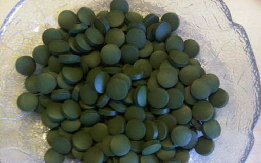 Chlorella