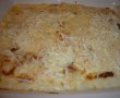 Brasovence gratinate-2