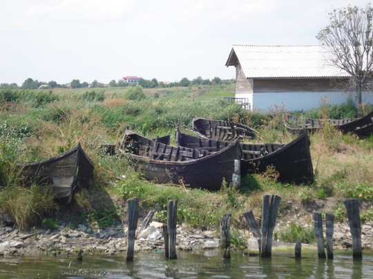 Ca sa alung iarna ,vorbesc despre mare....