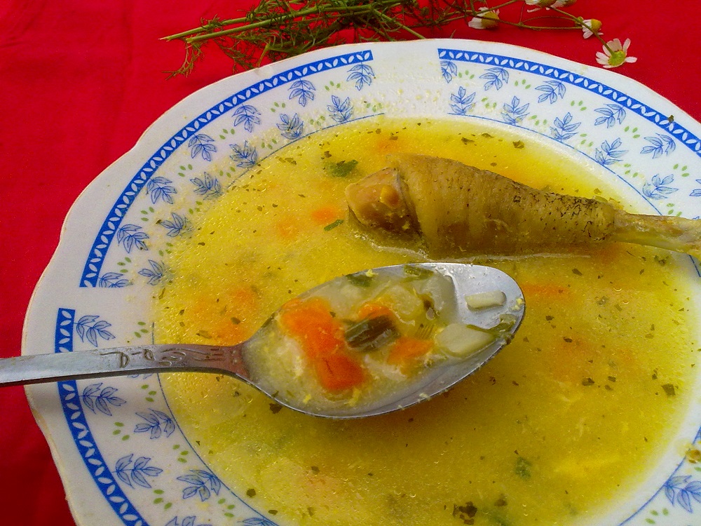 Ciorba dobrogeana de pasare a' la grec