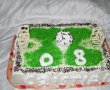 Tort Teren de Fotbal-1