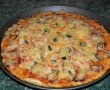 Pizza cu de toate (motaneasca)-15