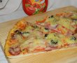 Pizza cu de toate (motaneasca)-24