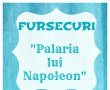 Fursecuri Palaria lui Napoleon-2