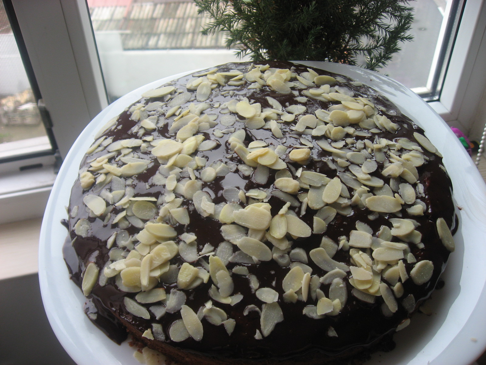 Chocolate cake by Julia Child