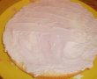 Tort Roxana-4