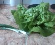 Salata verde-0