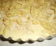 Tarta cu biscuiti,mere si nuca-5