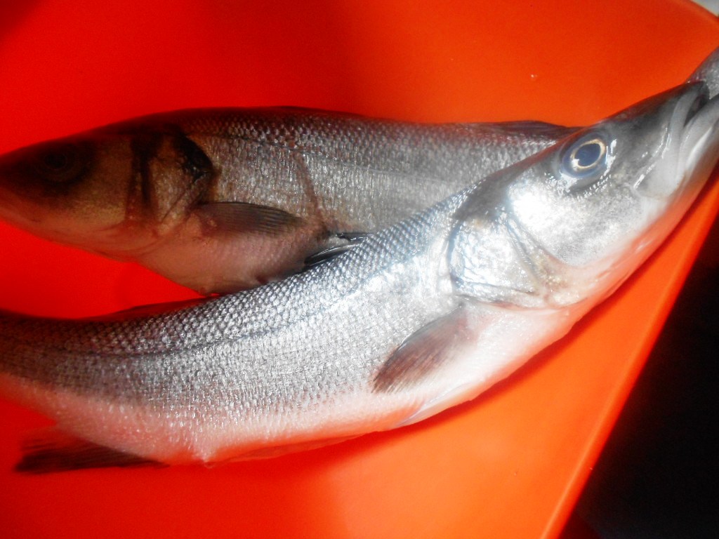 Biban de mare en papillote