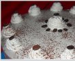 Tort cu mousse de ness-1