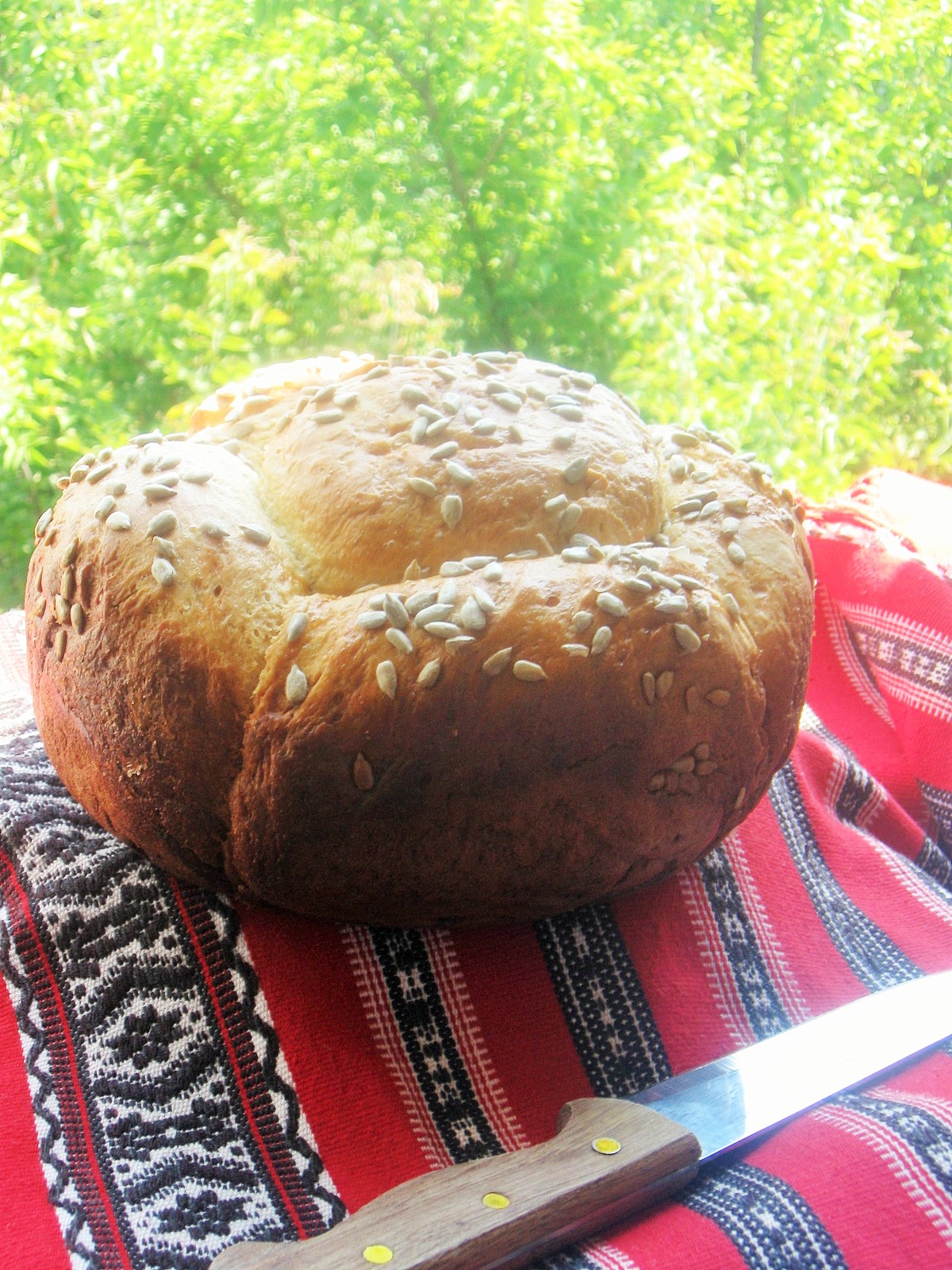 Paine de casa  (Multicooker)