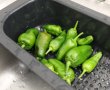 Pimentos de Padron-0