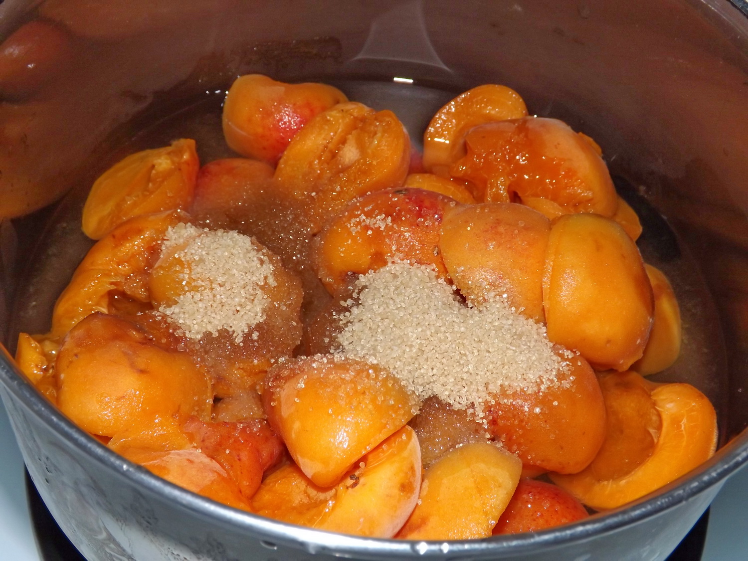 Panna cotta cu jeleu de caise si biscuiti Amaretti