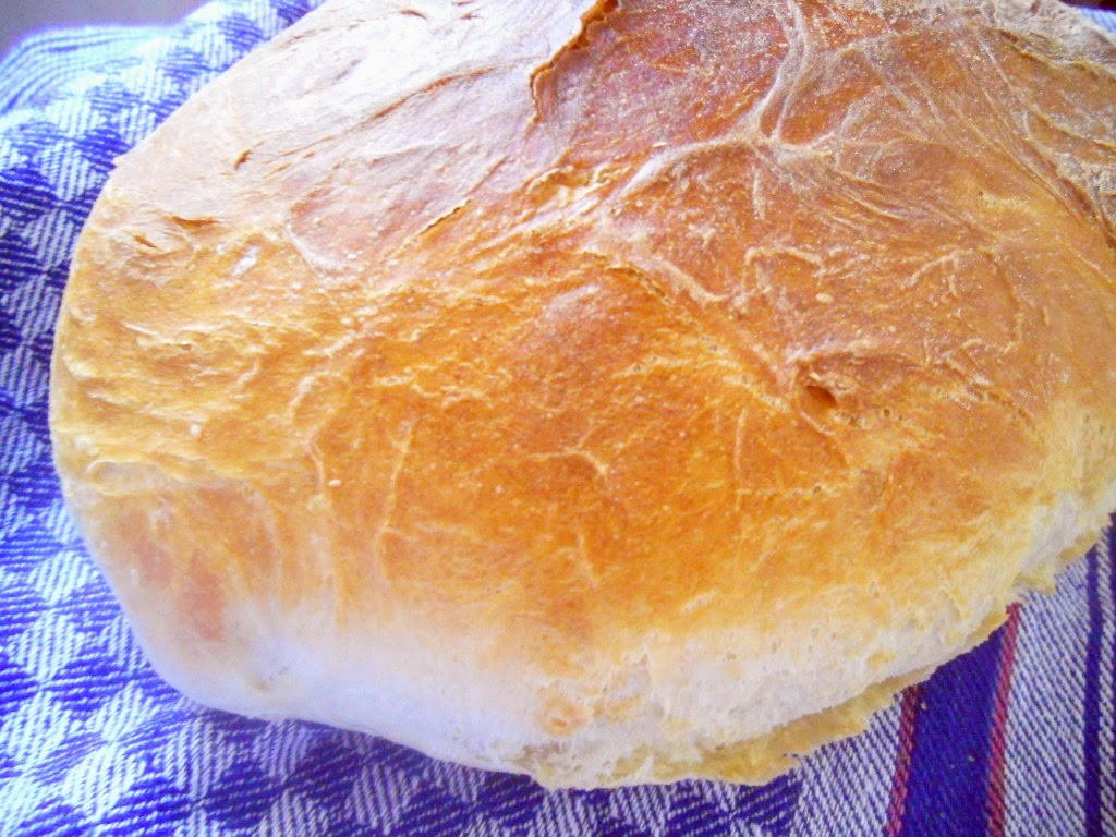 Pâine ciabatta