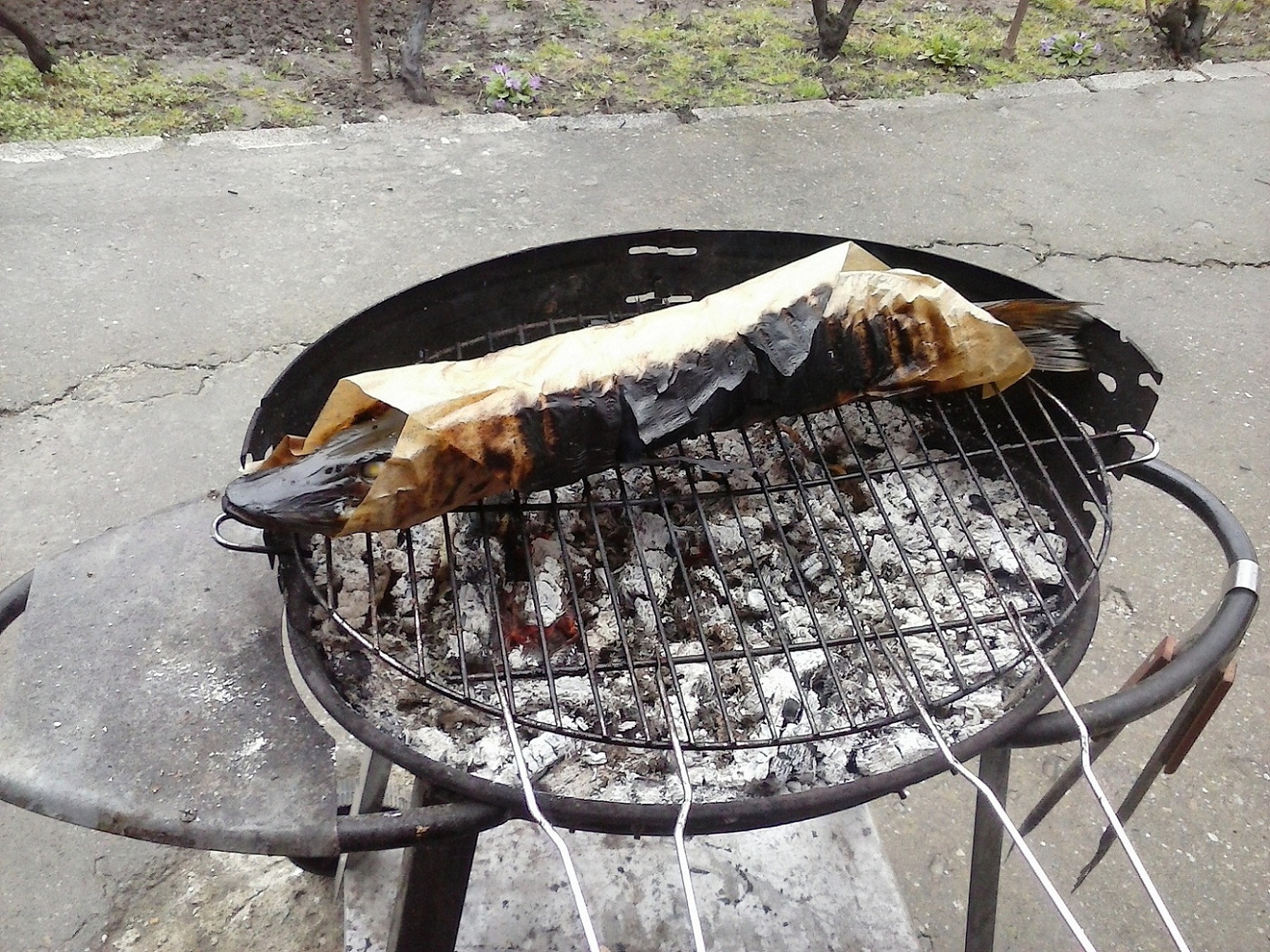 Stiuca la gratar in foaie de copt