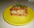 Penne cu carne tocata si sos Panzani-8