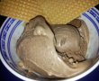 Inghetata cremoasa cu cacao si ciocolata-0