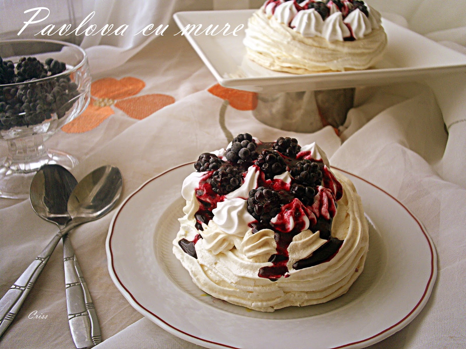 Pavlova cu mure