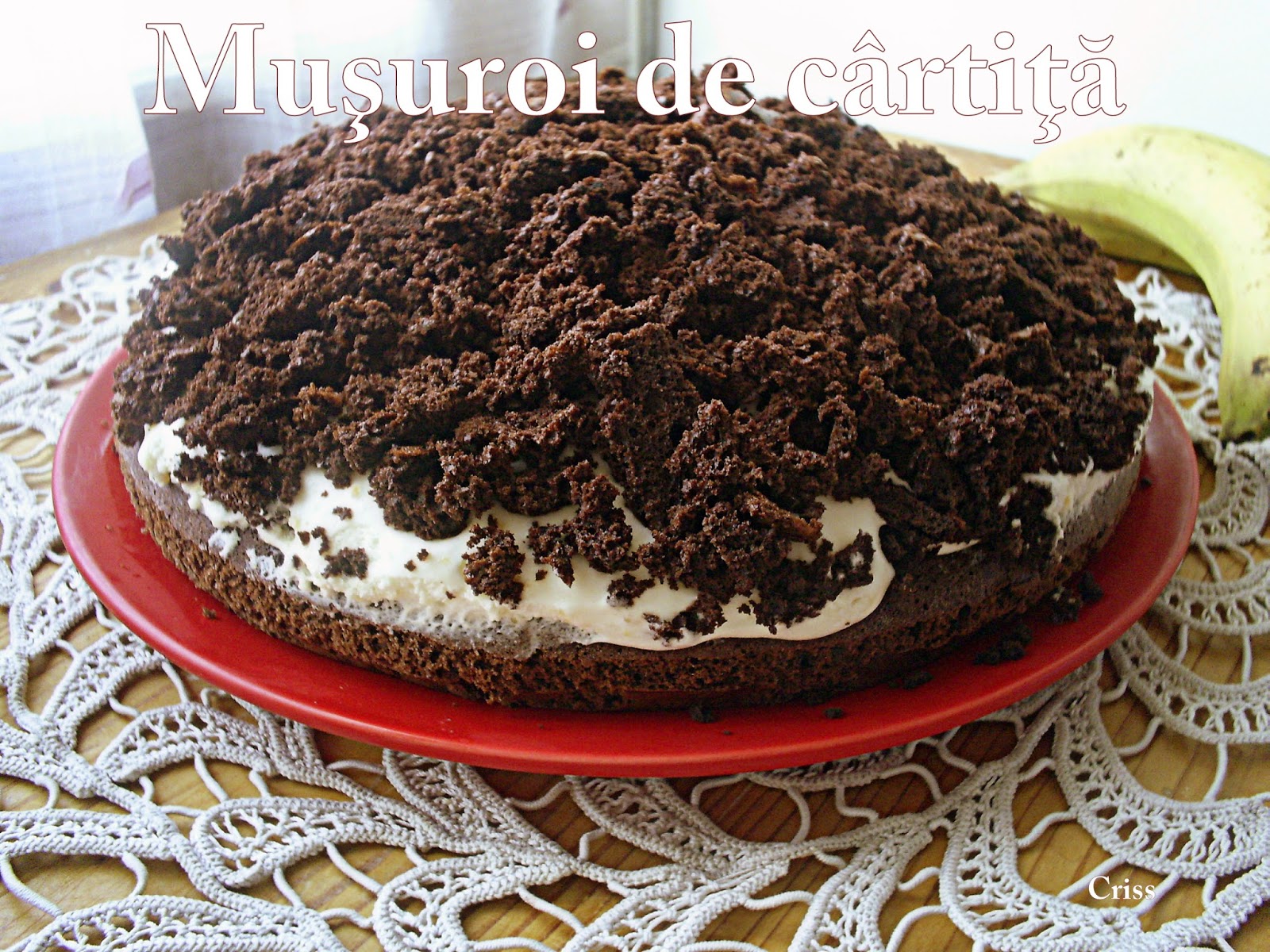 Desert tort musuroi de cartita