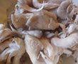 ZACUSCĂ CU CIUPERCI PLEUROTUS-18