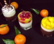 Panna cotta cu ciocolată,cu vanilie şi jeleu de mango-9