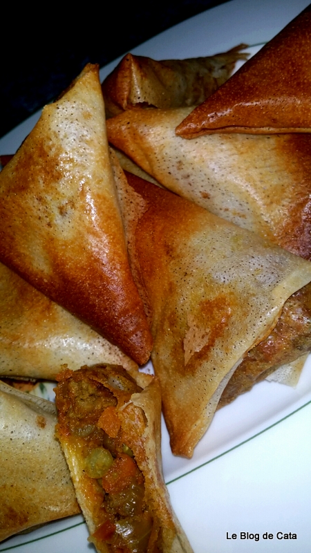 Samosa cu carne de vita