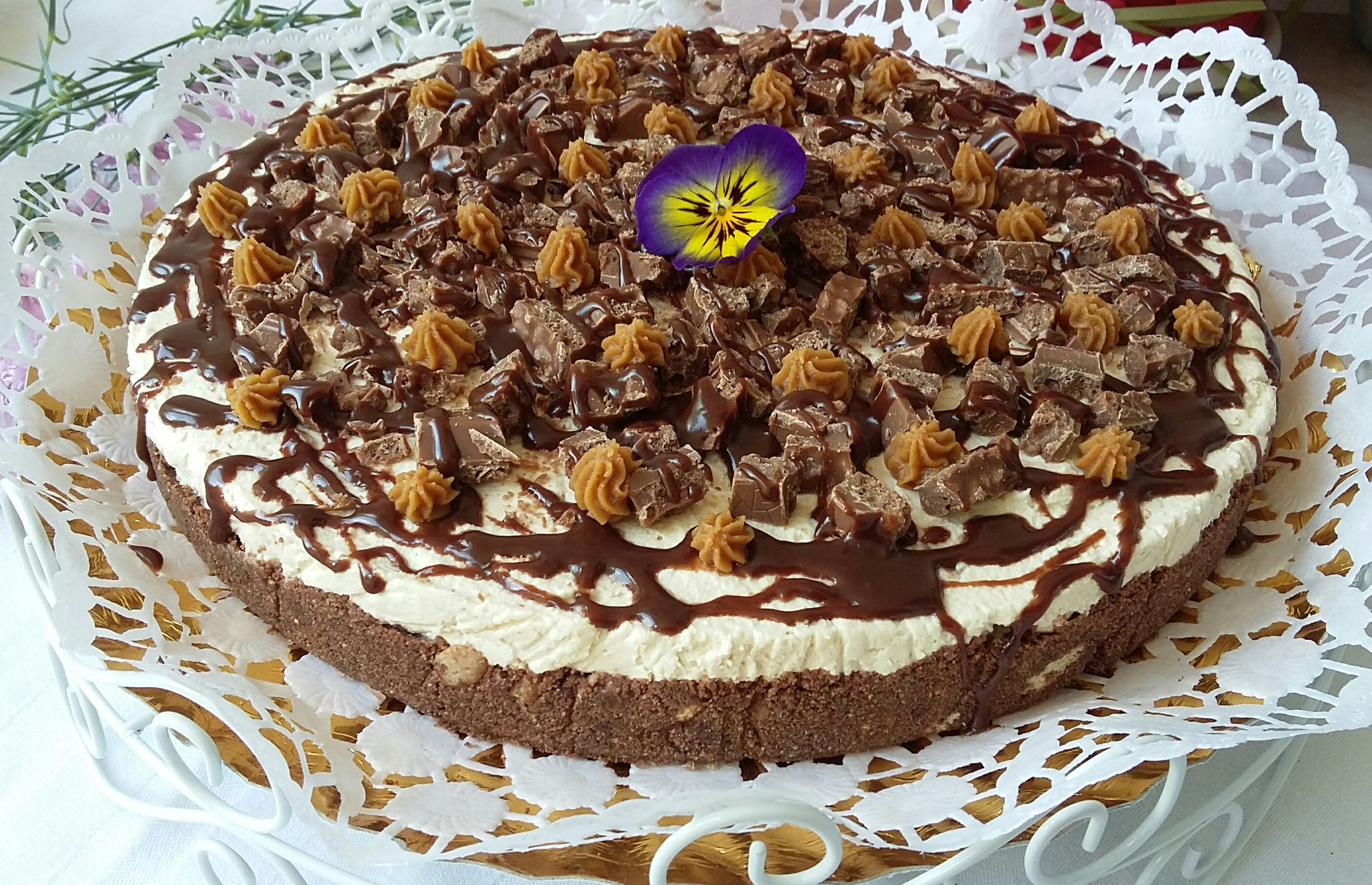 Cheesecake cu unt de arahide si ciocolata - Reteta nr. 500