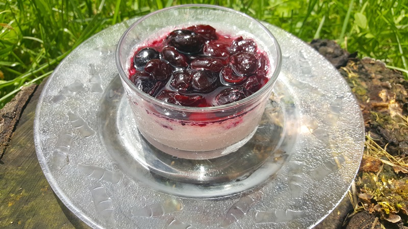 Panna cotta cu cirese