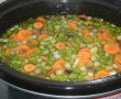 Ciorba de legume la slow cooker Crock-Pot-5