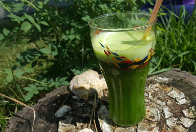 Detoxifiant de patrunjel